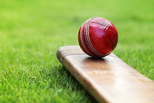 How to Bet on Cricket Betting Ladders Using Your Online Cricket ID